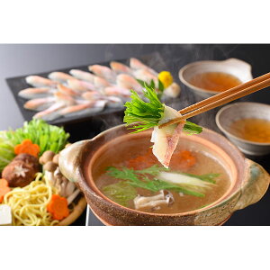 yzyYnẑǂ낵ԂԓZbgiT-20jy̓/̓/a/j/Mtg//䒆/Ε/Ε/ʔ́z[TY-F-M]