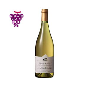 COCO ̃G`[h 750ml CyRREt@[ECi[/RR t@[//o^C/p[eB[/a/LO/j/v[g/Mtg/蕨/yY/ʔ́z