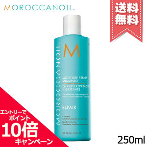 ���|�C���g10�{�E�����N�[�|����MOROCCANOIL �����b�J���I�C�� ���C�X�`���[ ���y���V�I�� �V�����v�[ 250ml�y��z�֑��������z