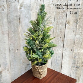 クリスマスツリー 北欧 おしゃれ テーブル 卓上 43cm テーブルライトツリー　グリーンタイプ