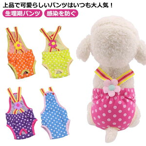 TXy_[t Tj^[pc ybgpi q p p ʕ  /^/^/Vp ނJo[ ̔ pc h }i[pc  Lp