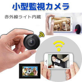 楽天市場 赤外線 カメラ ビデオカメラ 光学機器 Tv オーディオ カメラ の通販