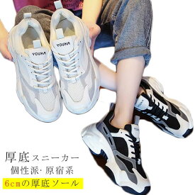 れんが 競合他社選手 夕暮れ 楽天 厚底 靴 Farmaciadepace Com