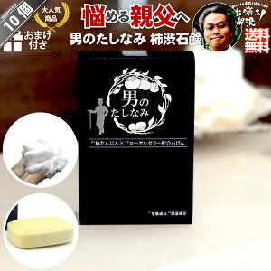 【10個セット】 柿渋石鹸 男のたしなみ (100g) 【クーポン配布中】 固型石鹸 カキタンニン 柿渋石けん 柿渋せっけん【送料無料】