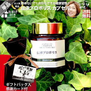 yMtgobO / ӃJ[htz ` v|X i1/120j yN[|zzz [[[ ԕ NHi Tvg {I N uWYv|X Ryii 