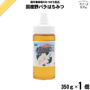 Yo݂͂ |e i350gj yN[|zzz {I  tWC ӂ YI Yn`~c y3980~ȏőz