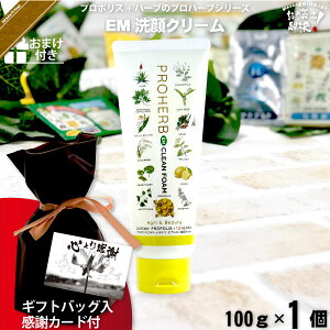 yMtgobO / ӃJ[ht / ܂tz vn[u EM N[ i100gj yN[|zzz Rh Tv v[gt NX}X ܎O Ε  j v`Mtg 