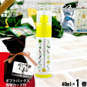 yMtgobO / ӃJ[ht / ܂tz vn[u puCgjOGbZX i40mlj yN[|zzz Rh Tv v[gt NX}X ܎O Ε  j