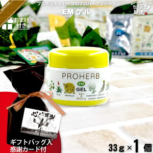 yMtgobO / ӃJ[ht / ܂tz vn[u EM Q i33gj yN[|zzz Rh Tv v[gt NX}X ܎O Ε  j v`Mtg 蕨 