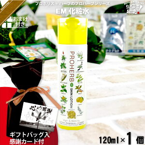 yMtgobO / ӃJ[ht / ܂tz vn[u EM ϐ i120mlj yN[|zzz Rh Tv v[gt Ryii ܎O hV̓  j v`Mtg 蕨