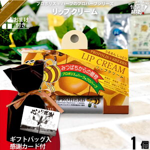 yMtgobO / ӃJ[ht / ܂tz vn[u bvN[ ij yN[|zzz Rh Tv v[gt Ryii ܎O hV̓  j v`Mtg 