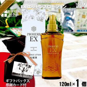 yMtgobO / ӃJ[ht / ܂tz vn[u EX GbZX[V i120mlj yN[|zzz n`~c Rh Tv v[gt Ryii ܎O Ε  