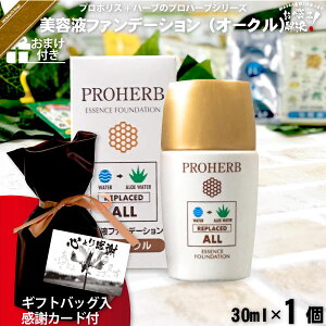 yMtgobO / ӃJ[ht / ܂tz vn[u et t@f[V I[N i30mlj yN[|zzz AGxt Rh Tv v[gt Ryii ܎O