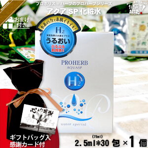 yMtgobO / ӃJ[ht / ܂tz vn[u ANA SP ϐ i2.5ml×30j yN[|zzz Tv v[gt Ryii ܎O hV̓  j v`Mtg 