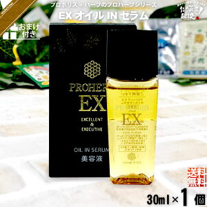 yy / ܂tz vn[u EX ICINZ i30mlj yN[|zzz et n`~c Rh Tv v[gt  yzy|XgJz