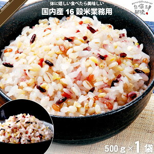 Y\Z Ɩp i500gj yN[|zzz G G G܂ 16 16܂ y3980~ȏőzy|XgJz