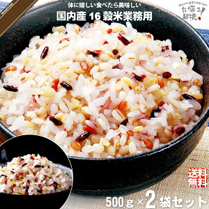 yy / 2Zbgz Y\Z Ɩp i500gj yN[|zzz G G G܂ 16 16܂  |Cg  yzy|XgJz