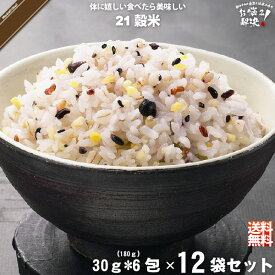 【12個セット】 二十一穀米 スティック （30g×6） 雑穀 雑穀米 21穀米 21こくまい 美味しい 送料込 【送料無料】【ポスカ】