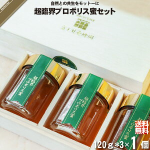 超臨界プロポリス蜜セット (120g×3本) 【クーポン配布中】 富士見養蜂園 送料込【送料無料】【化粧箱】