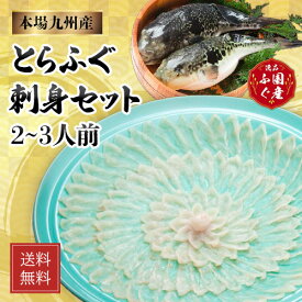 ふぐ ふぐセット ふぐひれ フグ とらふぐ ふぐ刺し フグ刺し とらふぐセット とらふぐ刺身セット【2～3人前】　【お試しセット】 河豚 ふぐ お取り寄せ セット 国産 母の日 父の日 ギフト グルメ 贈り物 送料無料 御中元 御歳暮 冷凍 国産