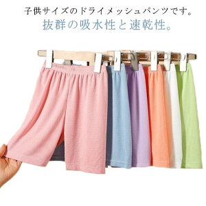 LbY ̎q n[tpc Y{ XEFbgpc Zp pc ACXVN 100 Y{ _X bV 90 hC W[W ⊴ ǂ  2_Zbg WjA  WjA X|