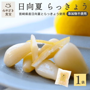 宮崎県産 らっきょう」の人気商品一覧 | 安い商品を通販サイト