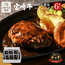 【お中元★夏ギフト対応可】宮崎牛 ハンバーグ 6個セット 生ハンバーグ 焼肉のさこま 牛100% 和牛 国産 手ごねハンバーグ A5ランク 自社牧場 贈答用 焼くだけ 簡単調理 焼肉 グルメ ギフト 惣菜 お取り寄せ おかず 通販 贅沢グルメ 送料無料 プレゼント