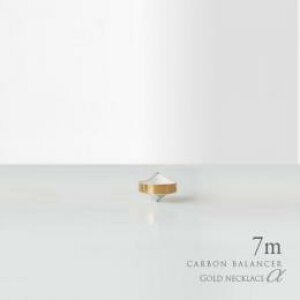 �d���g�΍� �O�b�Y �d���g�h�~ �V�[���h 5G �X�}�z wifi �g�� �O�b�Y �l�b�N���X ���N�A�N�Z�T���[ �J�[�{���o�����T�[�� �S�[���h �l�b�N���X�^�C�v