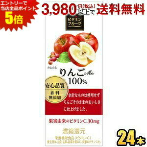 Gg[őSi|Cg5{ɓ r^~t[c Mix100 200mlpbN 24{ (ʏ`100 Abv)