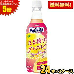 Gg[őSi|Cg5{yzATq Welch's EF` ܂OtXp[NO 450mlybg{g 48{(24{×2P[X) O[vt[c asahi2505 kC800~Ek400~