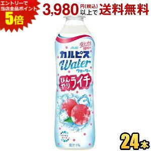 Gg[őSi|Cg5{ATq JsXEH[^[ Ђ胉C` 490mlybg{g 24{ MǑ΍