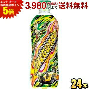 Gg[őSi|Cg5{`FI CtK[h 500mlybg{g 24{ ̈ GiW[hN