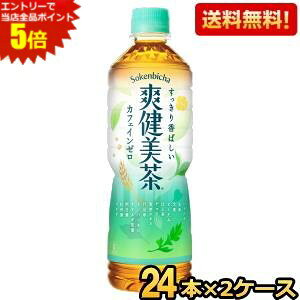 Gg[őSi|Cg5{ԌyzRJER[ u 600mlʃybg{g 48{(24{×2P[X) (RJR[) kC800~Ek400~̕ʓrZ cocaitem