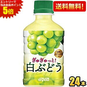 Gg[őSi|Cg5{yz_Ch[ ガƁI Ԃǂ 280mlybg{g 24{ kC800~Ek400~̕ʓrZ [39Vbv] st2505