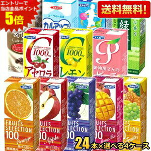 Gg[őSi|Cg5{Ԍyz Gr[pbN Iׂ4P[X v96{Zbg (ʏ`100%W[X C1000 X|[chN JtFI  Β) kC800~E