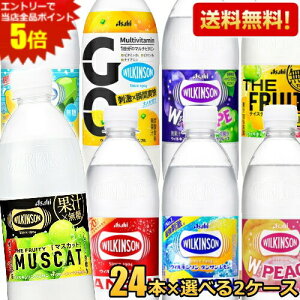 Gg[őSi|Cg5{EBL\ ^T Y_  ATq 500mlPET 48{(24{×Iׂ2P[X) m[}  ECL\ O[v  Y_ \[_ GO O