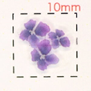 ݂i1jyaiEljlCV[z/1V[g9