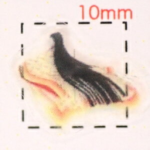 \Pi1jyaiElEjlCV[z/1V[g4