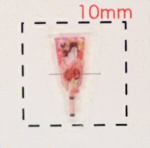 HqE͂i2jyaiElEjlCV[z/1V[g12@iChrisutomas@lC@V[@lCV[@nhCh@lCA[g@A[g@A[gV[@