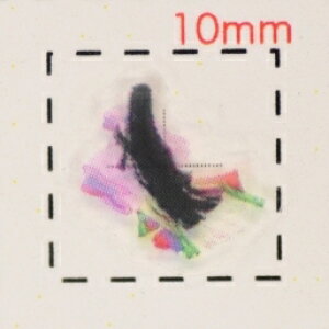 \Pi1jyaiElEjlCV[z/1V[g9