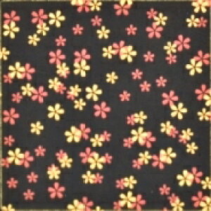 ai8jyiElEjlCV[z/1V[g1