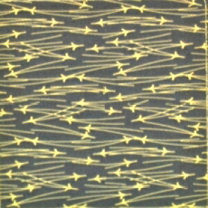 ai9jyiElEjlCV[z/1V[g1