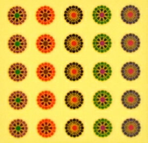 ai1jyiElEjlCV[z5FMIX/1V[g25