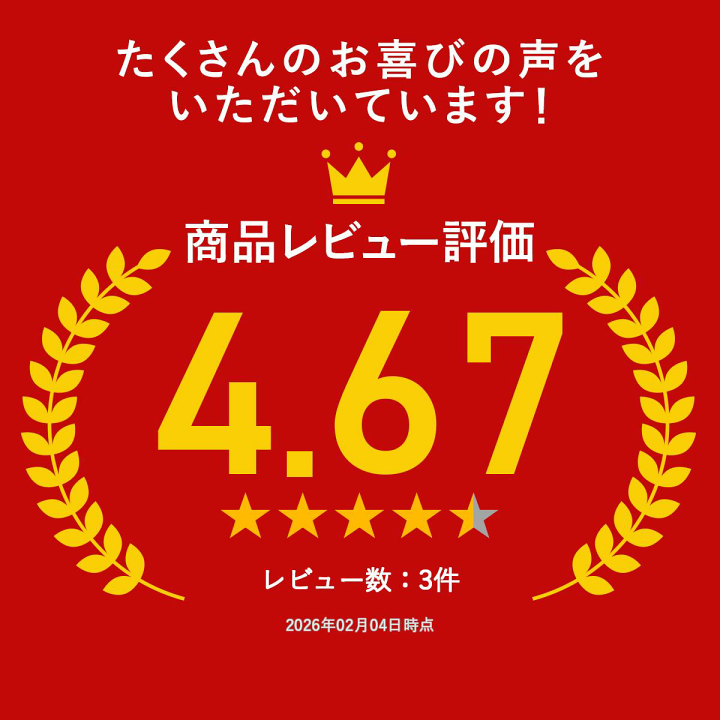 楽天市場】リボン 果汁100％フローズンシャーベット 9本 : 食品雑貨のMMK