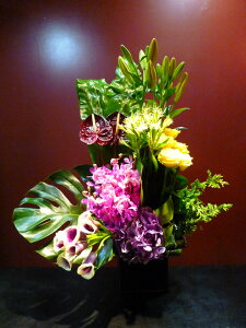 J[ o AWTC  JAX[ ^j^ Xe