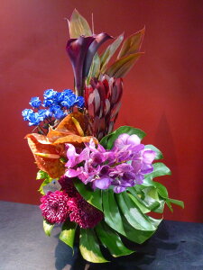 KN J[ o_ o AX[EJfh } Xe hZi