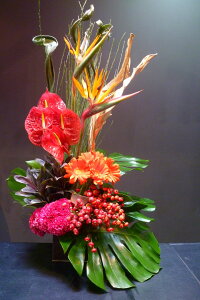 yAWgzXg`A Xg`A[t K[x AX[[Yqbv PCgE ΉGjV_ Xe