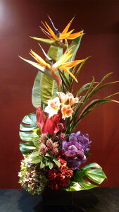 yAWgzXg`A o_ AWTC Xe