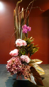 AWTC J[l[V Gsfh ybp[x[j[TC AX[̗t Ή hZi