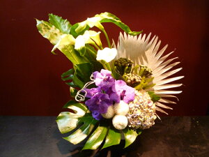 yAWgzJ[  o_ AWTC o[ZA r[V^j^ Xe LEC